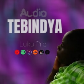 Luku Pro